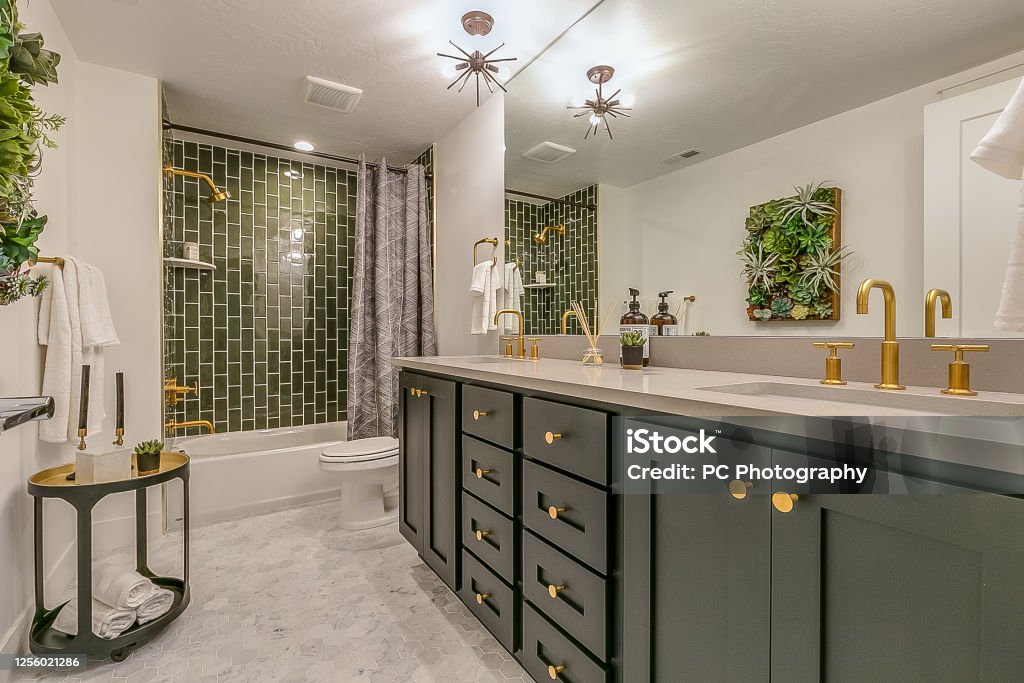 Hall Bath Renovations